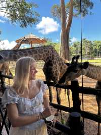 Signature Phu Quoc Safari ! Must see!