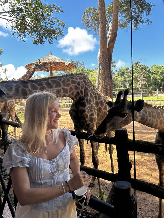 Signature Phu Quoc Safari ! Must see!