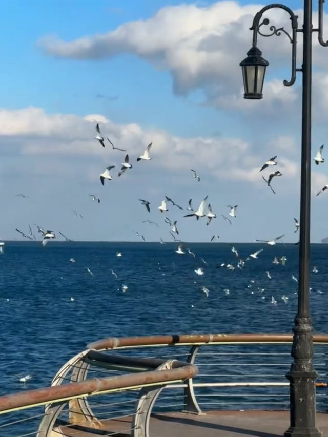 Seaside Strolls and City Lights: A Day in Dalian Donggang