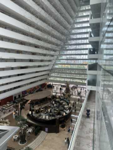 getting ready for Christmas! ✨🎁