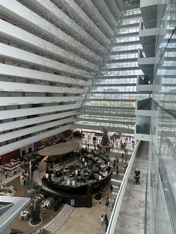 getting ready for Christmas! ✨🎁 getting ready for Christmas! ✨🎁