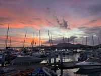 Захватывающее приключение на один день.