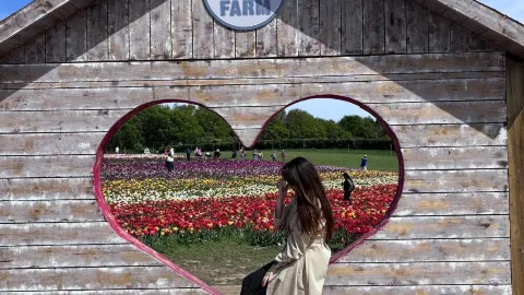 Hatton Park🌷 — traveler post in Crawley