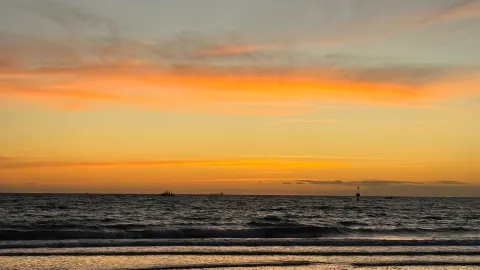 🏖 Brighton Beach in Australia? Colorful houses for $340,000 and black swans at sunset 🦢 — traveler post in Brighton
