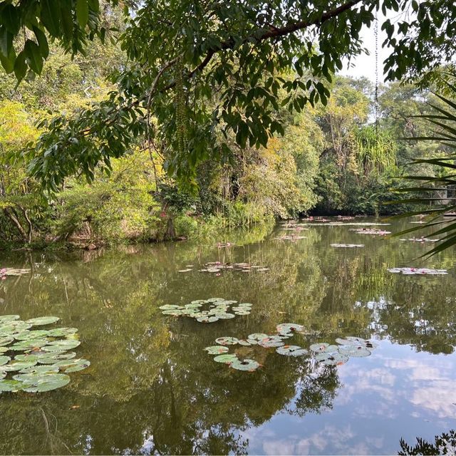 Tropical Botanical Gardens - paradise ！