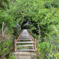 🐅 Trek to Tiger Leaping Gorge 🐅 