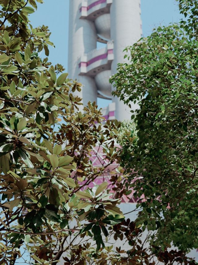 Shanghai in Bloom - Oriental Pearl Tower🌷🌸