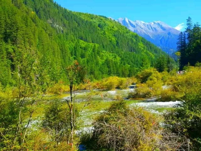 Breathtaking Fairyland of  China 🇨🇳