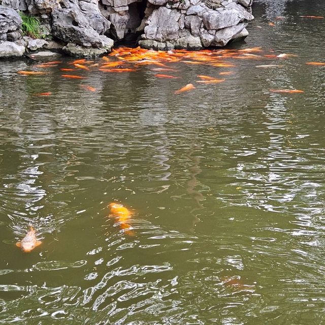 Yu Garden Shangai