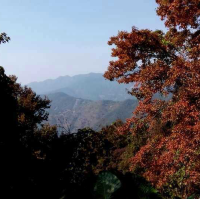 打卡廣州石門森林公園