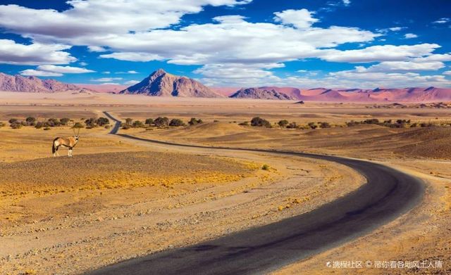 Here it is famous for its vast desert and primitive natural scenery.
