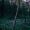 NightfallMystic5678901
