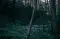 NightfallMystic5678901