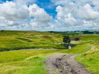 Trekking in Scotland 🏴󠁧󠁢󠁳󠁣󠁴󠁿