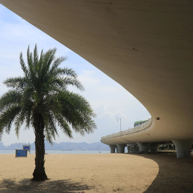 Why you should visit Xiamen!🇨🇳