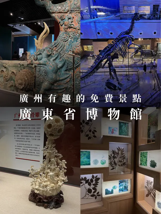 廣州有趣的免費景點「廣東省博物館」