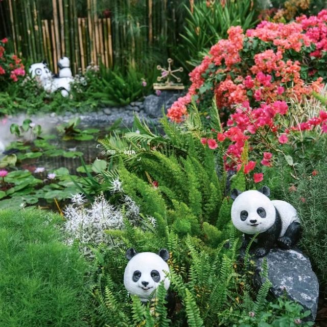 ✨深圳~蓮花山公園🌺✨