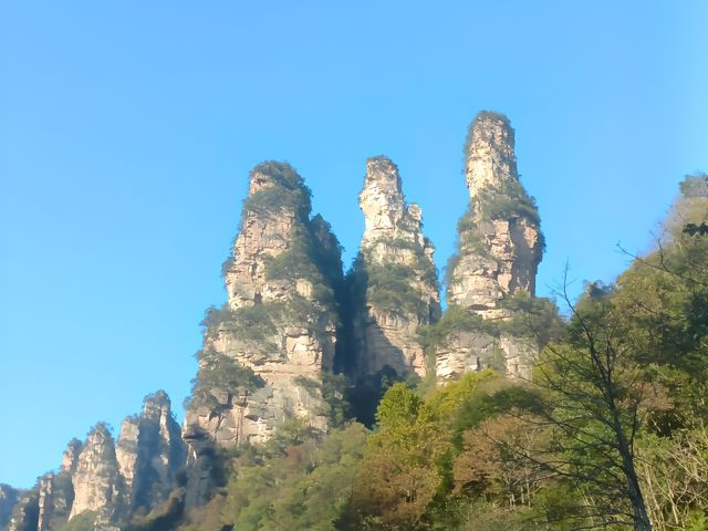 張家界之森林公園（袁家界楊家界天子山十里畫廊金鞭溪）