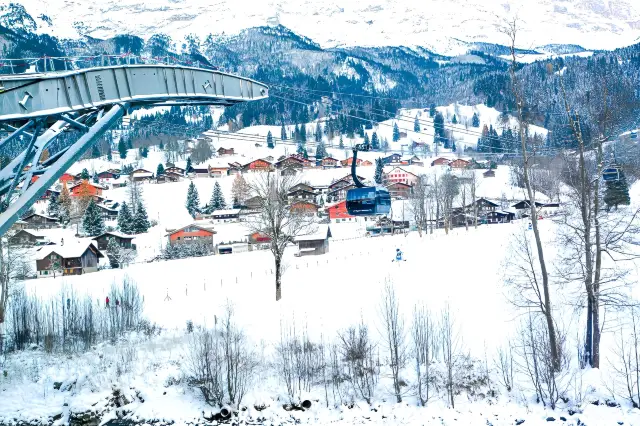 Journey along the Rhine (VII) - 'Top of Europe' Jungfrau