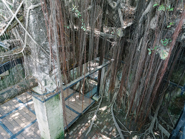 台南景點｜閒逛安平老街，探訪歷史古蹟