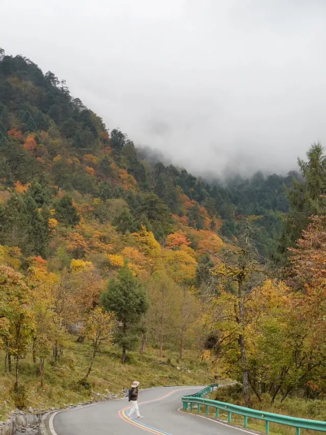 Around Chengdu!! I found the autumn secret land in Van Gogh's oil painting