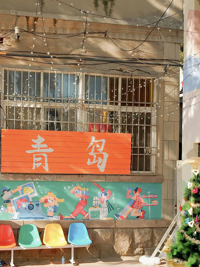 西伯利亞的海鷗都來青島了，你還不來嘛