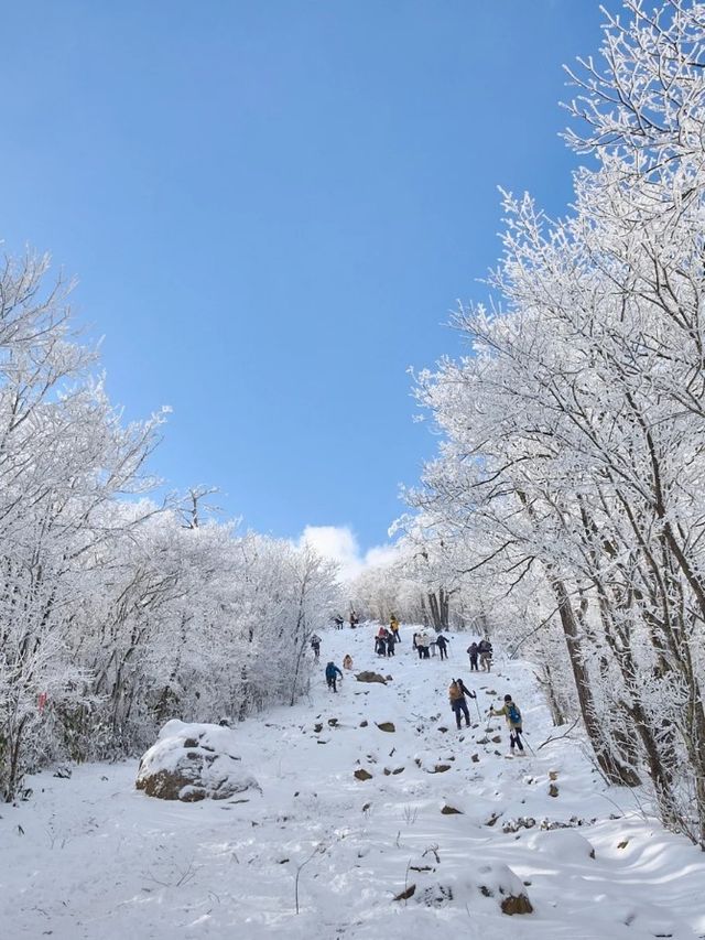 西山島丨一年一度的聖誕節就快到了，給大家帶來最實在的優惠活動
