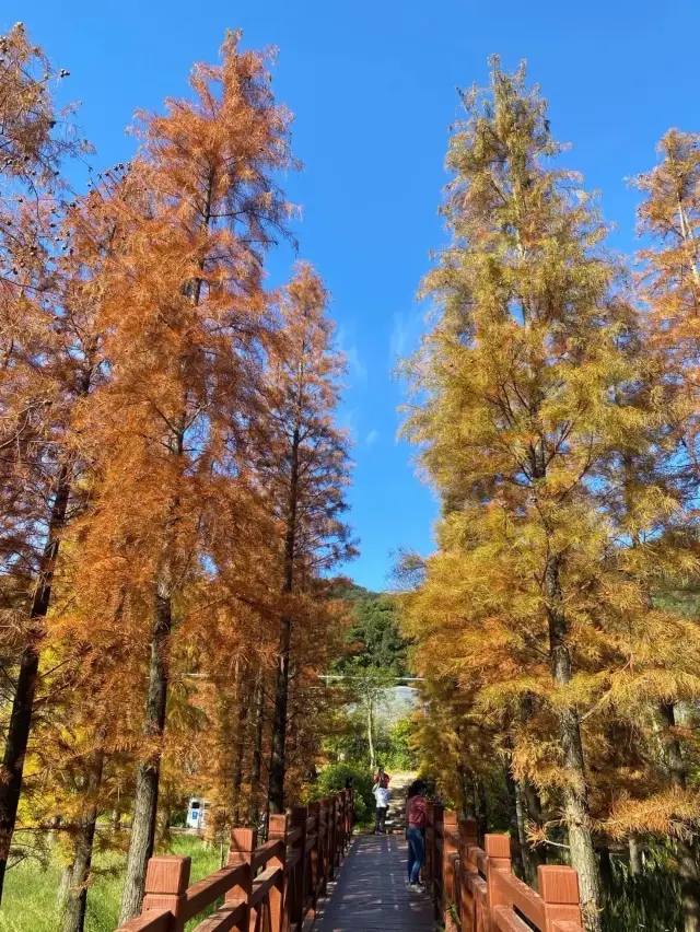 Selected as a beautiful hiking route by National Geographic, it's too beautiful