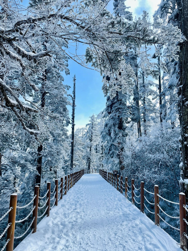 ！四川西部的餘波比失戀還大！