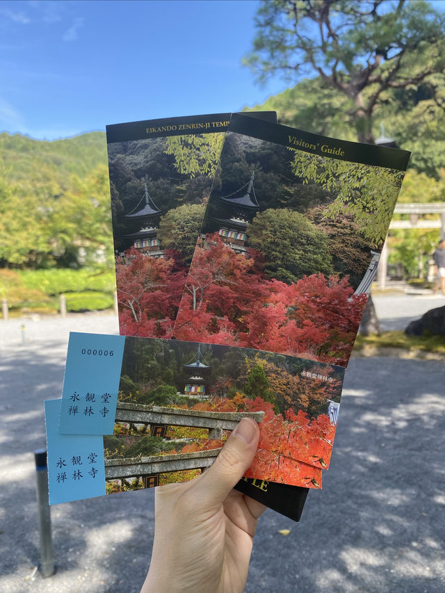 京都市步行永觀堂禪林寺