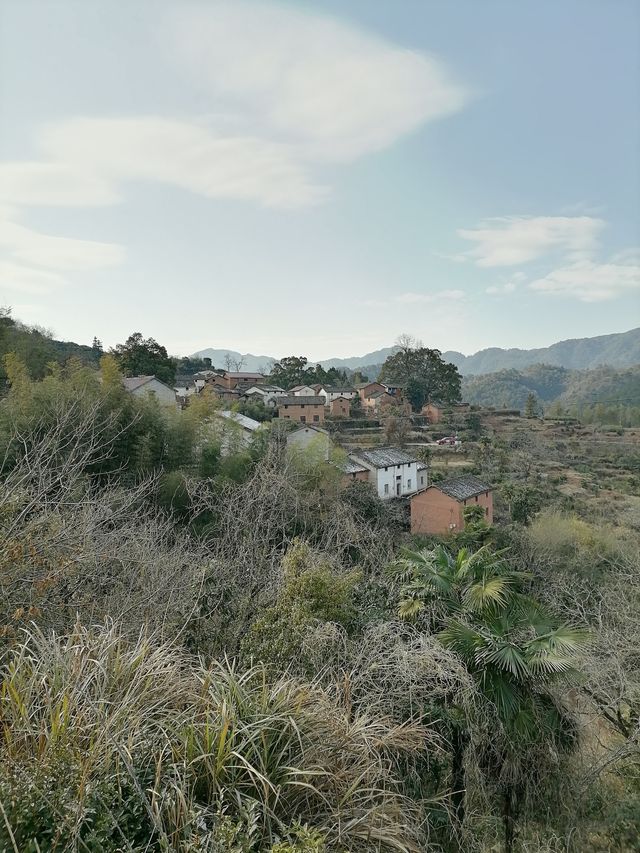 千島湖施家坪古村落｜被遺棄的土房村落丨人少安靜丨免收門票