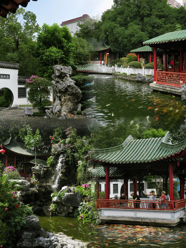 深圳“小蘇州”，藏在市中心的隱世園林！
