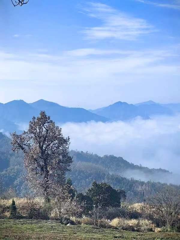 在雲端，安徽休寧金龍山上海拔972米