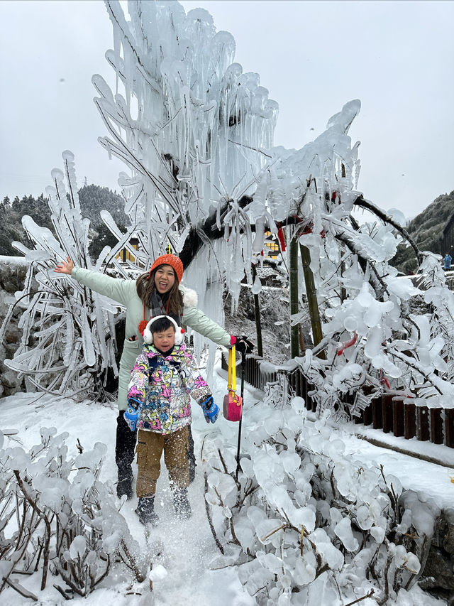 無需遠赴南方小土豆勇闖南國雪鄉攻略