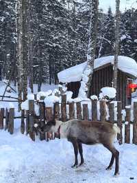 分享哈爾濱雪鄉延吉9天旅遊攻略