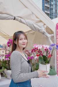 侨城坊花市探秘，春節的浪漫與溫馨在此綻放！