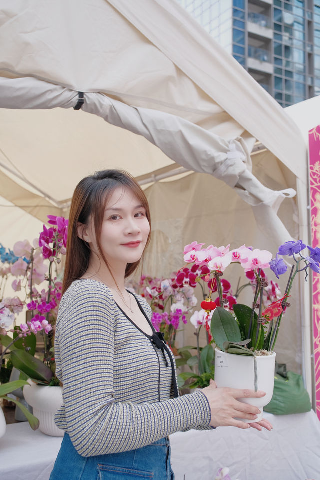 侨城坊花市探秘，春節的浪漫與溫馨在此綻放！