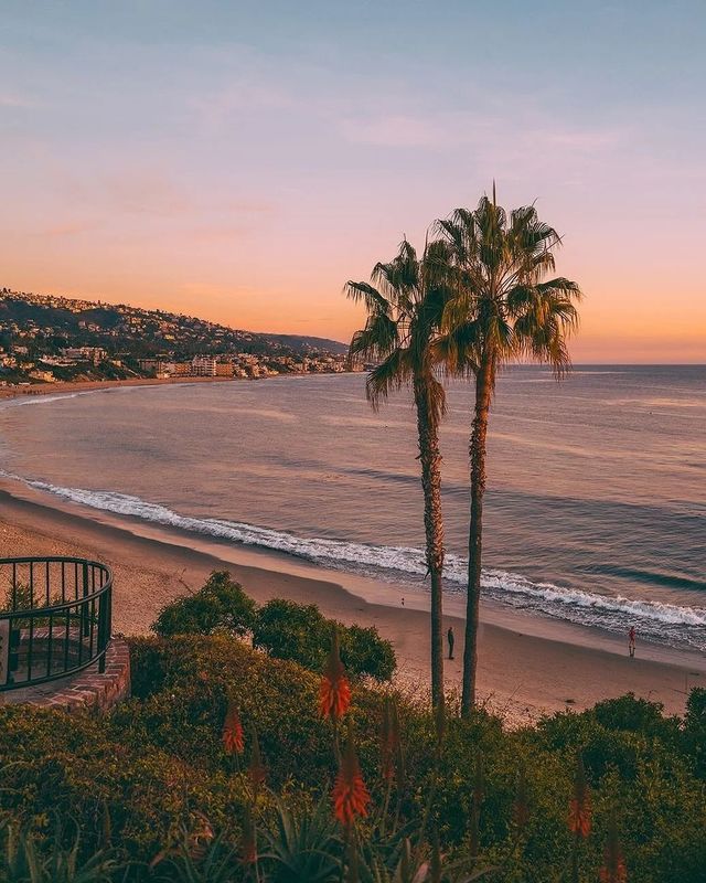 你可以永遠相信加州的海灘和日落