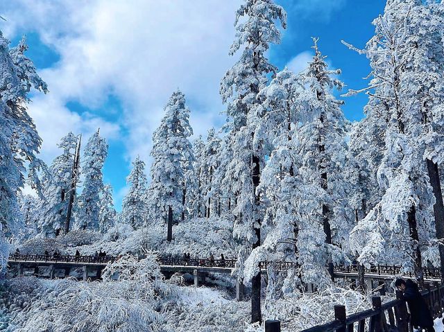 在眉山！！遇見雲海、霧凇