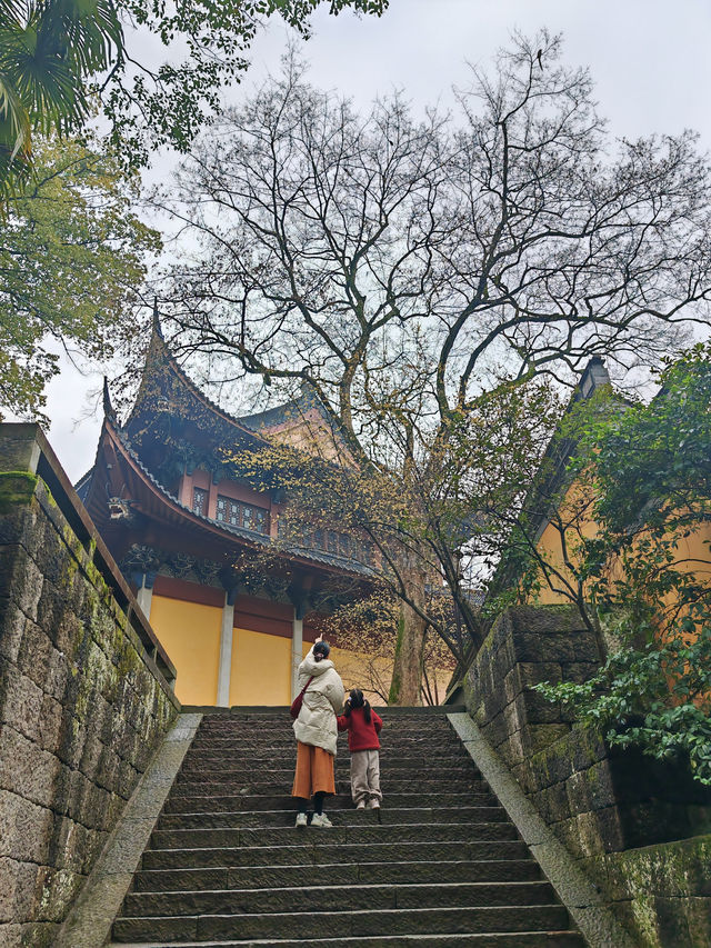 搜遍新昌大佛寺攻略都不如在裡面住一晚