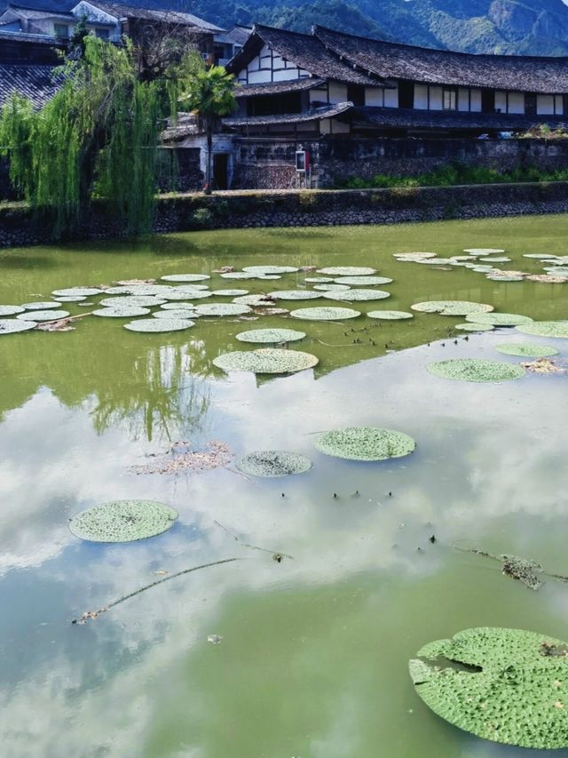 楠溪江：媲美九寨溝的世外桃源