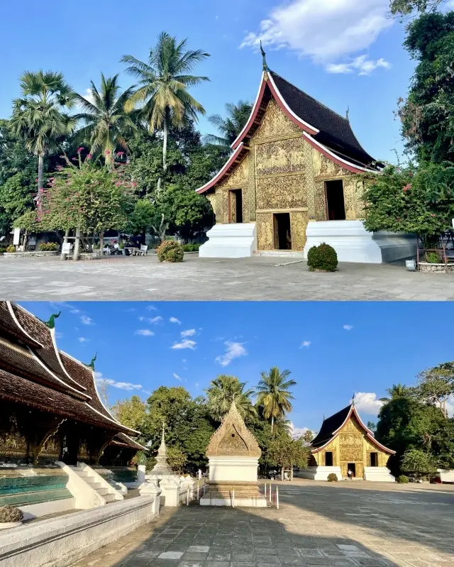 The only royal temple in Luang Prabang, "Wat Xieng Thong"