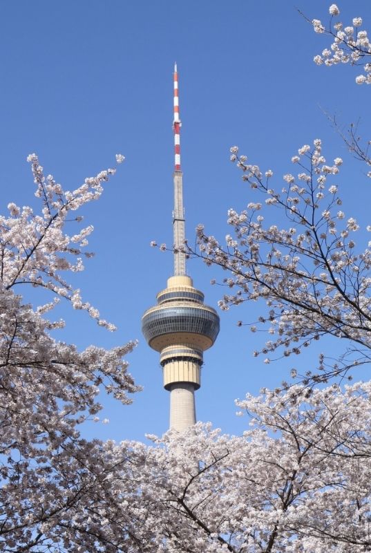 北京玉淵潭公園