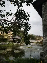 相較於寶墨園，我更喜歡這個小眾嶺南園林