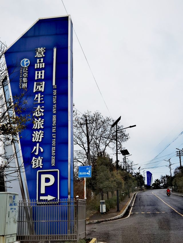【多彩貴州】薏品田園(一):春到人間草木知