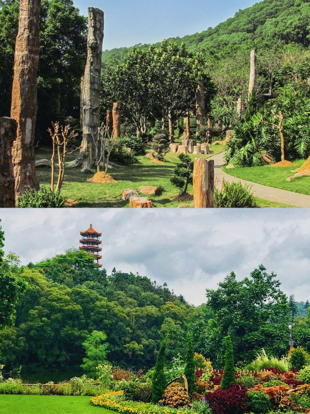 深圳版「莫奈花園」 仙湖植物園