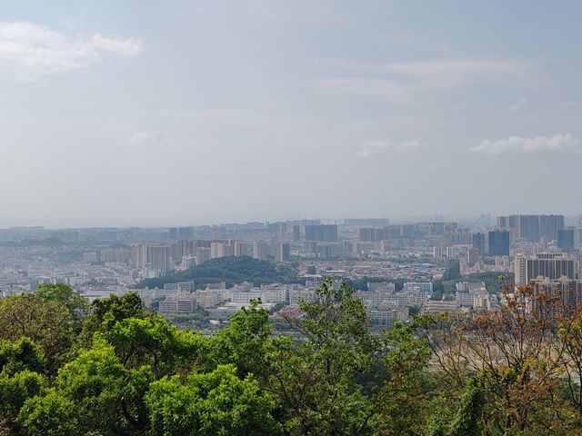攀登深圳十峰之一的鳳凰山