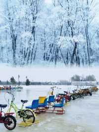 小眾地‖呼蘭河口濕地玩雪
