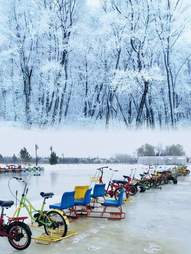 小眾地‖呼蘭河口濕地玩雪