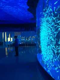 滬上獨具一格的空中海洋館